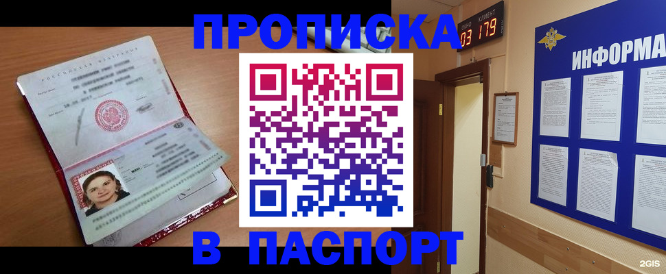 прописка 2025 в Сольцах